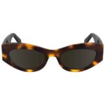 CALVIN KLEIN WOMEN'S SUNGLASSES BROWN