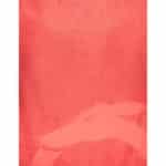 TRUSSARDI JEANS WOMEN'S BEACH TOWEL RED