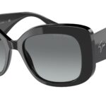 SUNGLASSES GIORGIO ARMANI MAN AR8150-500111 (Lens/Bridge/Temple) 53/18/140 mm)