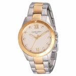 WATCH PIERRE CARDIN WOMEN CF.1009.MU (34MM)