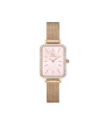 WATCH DANIEL WELLINGTON WOMEN DW00100669 (20MM)