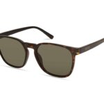 SUNGLASSES KENNETH COLE MAN KC1414-5452N (Lens/Bridge/Temple) 55/18/145 mm)