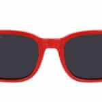 SUNGLASSES LACOSTE MAN L3639S-615 (Lens/Bridge/Temple) 49/18/135 mm)