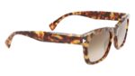 SUNGLASSES LANVIN MAN LNV620S-213 (Lens/Bridge/Temple) 52/21/145 mm)