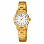 WATCH CASIO WOMEN LTP-V002G-7B2 (31MM)