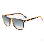 SUNGLASSES BELSTAFF WOMEN MERIDINIIS17 (Lens/Bridge/Temple) 55/17/150 mm)