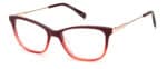 GLASSES PIERRE CARDIN WOMEN P.C.-8491-L39 (Lens/Bridge/Temple) 53/17/140 mm)