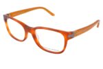GLASSES PORSCHE DESIGN MAN P8250D (Lens/Bridge/Temple) 53/18/135 mm) - Image 2