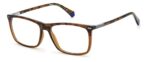 GLASSES POLAROID MAN PLD-D430-9N4 (Lens/Bridge/Temple) 56/16/145 mm)