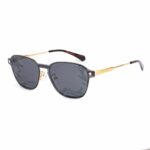 SUNGLASSES POLAROID UNISEX PLD6119GCSJ5G (Lens/Bridge/Temple) 53/17/145 mm)