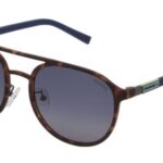 SUNGLASSES CONVERSE MAN SCO198547VEP (Lens/Bridge/Temple) 54/20/140 mm)