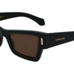 SUNGLASSES FERRAGAMO WOMEN SF2006S-001 (Lens/Bridge/Temple) 53/23/140 mm)