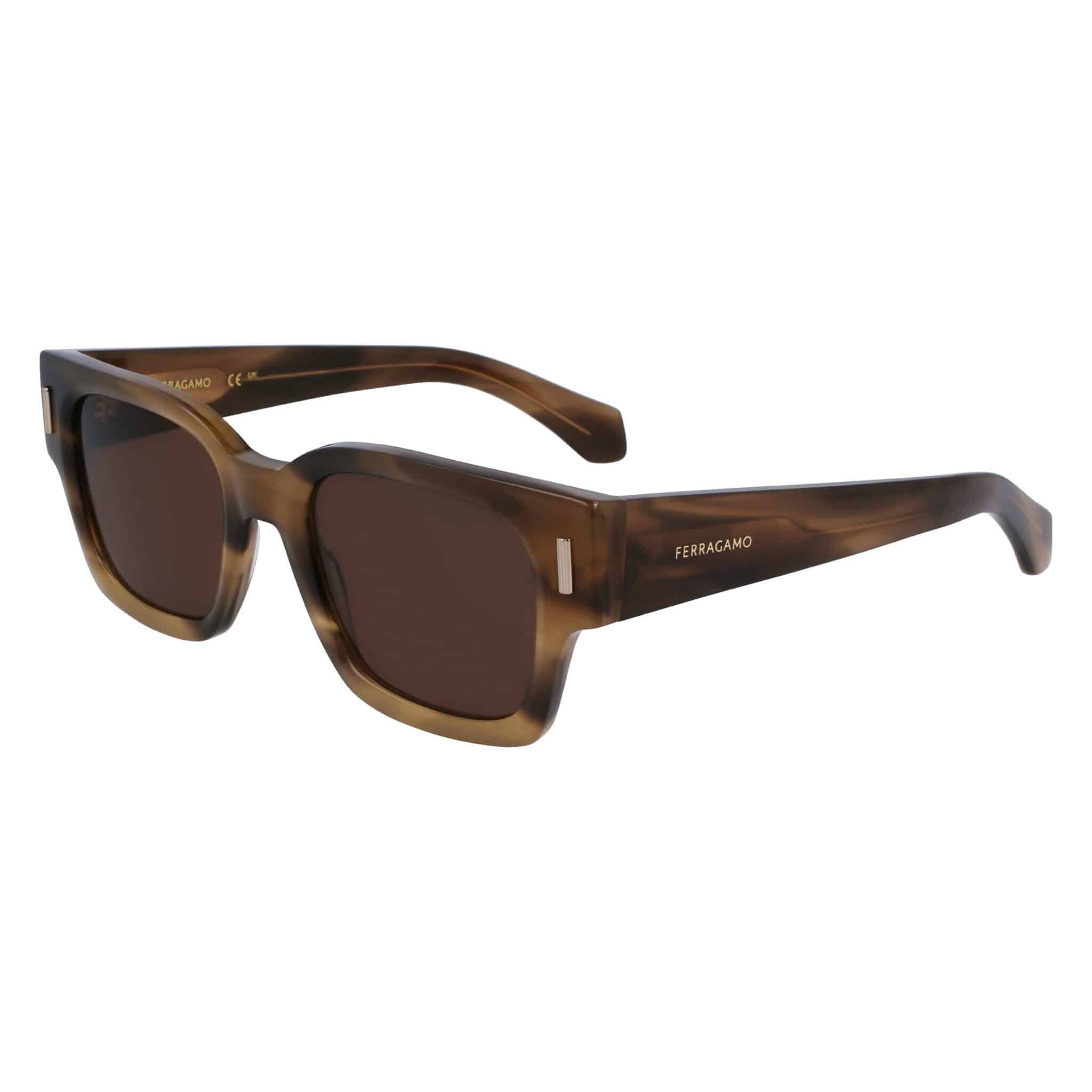 SF2010S-319 SUNGLASSES FERRAGAMO MAN SF2010S-319 (Lens/Bridge/Temple) 52/21/145 mm) - Image 1