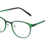 GLASSES POLICE MAN VPL249-500J97 (Lens/Bridge/Temple) 50/19/150 mm)