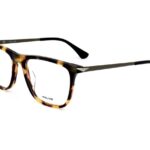 GLASSES POLICE MAN VPLD05M550VBV (Lens/Bridge/Temple) 55/18/145 mm)