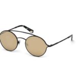 SUNGLASSES WEB EYEWEAR MAN WE0220-5602G (Lens/Bridge/Temple) 56/21/145 mm)