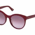 SUNGLASSES WEB EYEWEAR WOMAN WE0223-69T (Lens/Bridge/Temple) 54/15/145 mm)