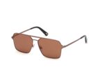 SUNGLASSES WEB EYEWEAR MAN WE0261-6036E (Lens/Bridge/Temple) 60/14/145 mm)
