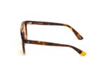 SUNGLASSES WEB EYEWEAR Unisex WE0262-5156J (Lens/Bridge/Temple) 51/19/145 mm) - Image 2