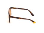 SUNGLASSES WEB EYEWEAR Unisex WE0263-5956J (Lens/Bridge/Temple) 59/13/145 mm) - Image 2