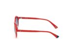 SUNGLASSES WEB EYEWEAR WOMAN WE0266-5166W (Lens/Bridge/Temple) 51/19/140 mm) - Image 2