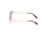 SUNGLASSES WEB EYEWEAR WOMAN WE0269-6533Y (Lens/Bridge/Temple) 65/13/140 mm) - Image 2