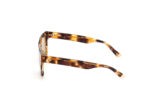 SUNGLASSES WEB EYEWEAR MAN WE0315-0041F (Lens/Bridge/Temple) 00/0/145 mm) - Image 2