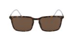 SUNGLASSES ZEISS MAN ZS22512S56172 (Lens/Bridge/Temple) 56/17/145 mm) - Image 2