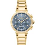 WATCH HUGO BOSS WOMEN 1502677 (38MM)