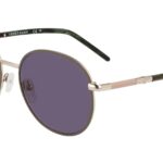 SUNGLASSES LONGCHAMP WOMEN LO171S-708 (Lens/Bridge/Temple) 53/17/140 mm)