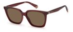 SUNGLASSES POLAROID WOMEN PLD6160SC9ASP (Lens/Bridge/Temple) 62/13/140 mm)