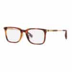 EYEGLASSES CHOPARD MAN VCH344-5309SZ (Lens/Bridge/Temple) 53/19/145 mm)