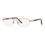 EYEGLASSES CHOPARD MAN VCHG60-5508FF (Lens/Bridge/Temple) 55/19/145 mm)