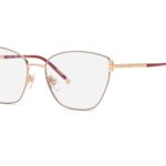 EYEGLASSES CHOPARD WOMEN VCHG98M5502AM (Lens/Bridge/Temple) 55/17/135 mm)