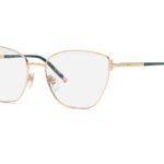 EYEGLASSES CHOPARD WOMEN VCHG98M550300 (Lens/Bridge/Temple) 55/17/135 mm)