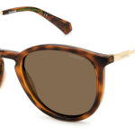 SUNGLASSES POLAROID MAN PLD4143SX086 (Lens/Bridge/Temple) 53/18/145 mm)