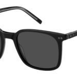 SUNGLASSES TOMMY HILFIGER UNISEX TH1938S80753I (Lens/Bridge/Temple) 53/14/145 mm)